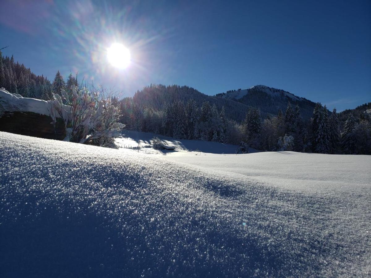 Morzine Appartement 6 Personnes Zewnętrze zdjęcie