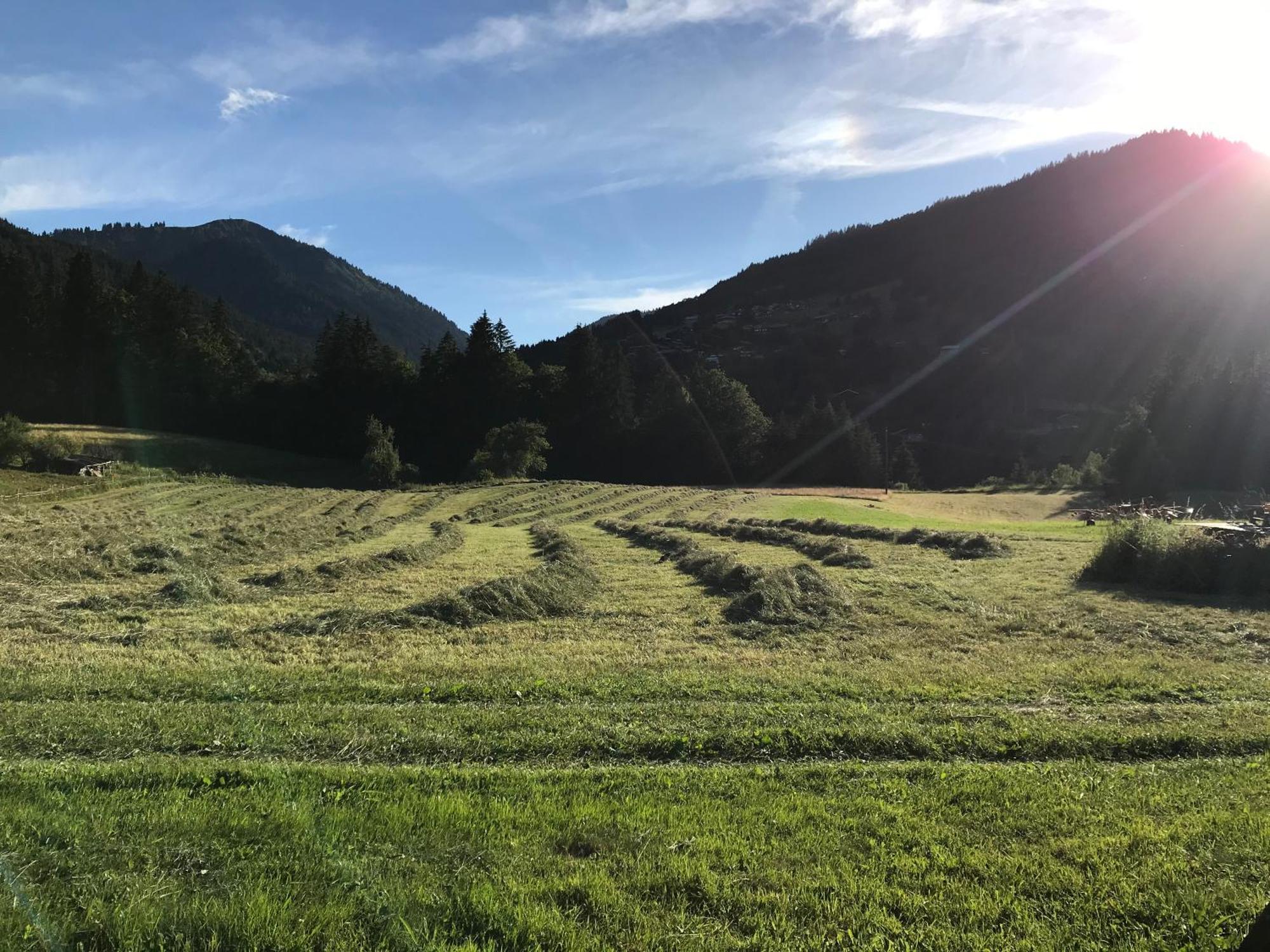Morzine Appartement 6 Personnes Zewnętrze zdjęcie