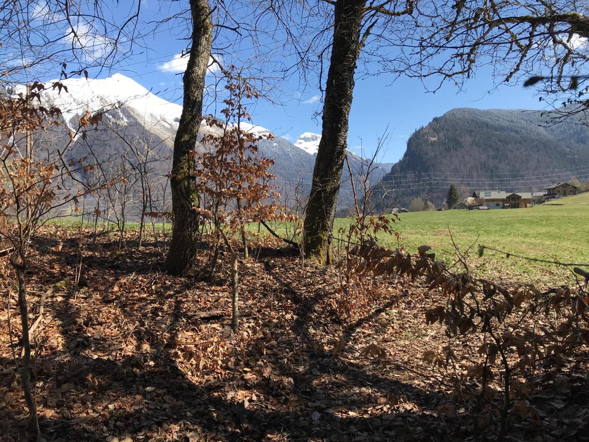 Morzine Appartement 6 Personnes Zewnętrze zdjęcie